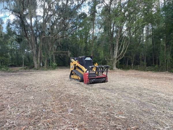 Skid steer clearing an overgrown wooded lot